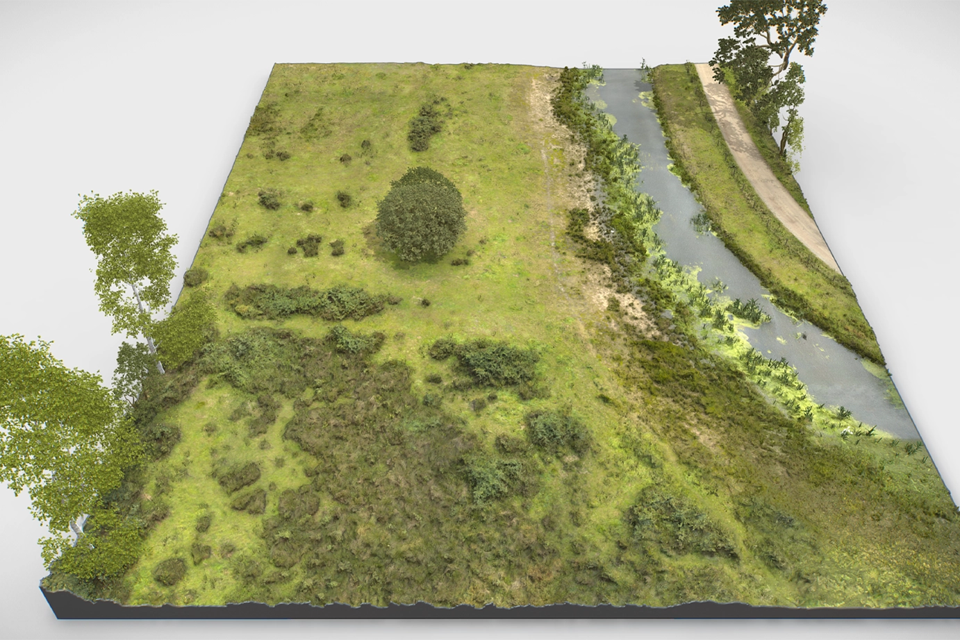 Preview of Grasland 01